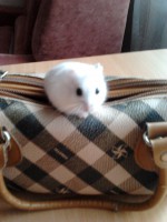 /album/merri/a2014-04-18-18-30-41-jpg/